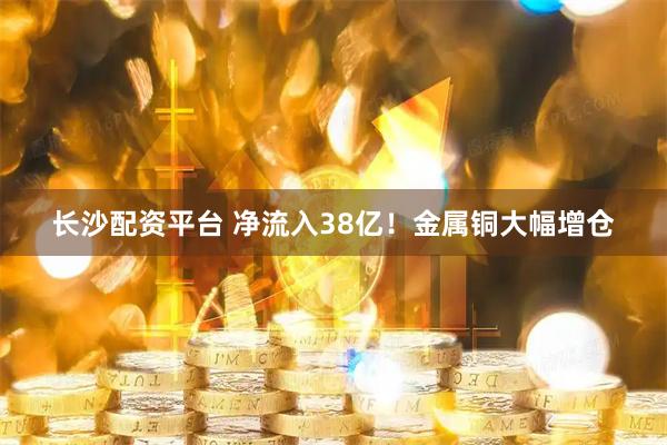长沙配资平台 净流入38亿!金属铜大幅增仓