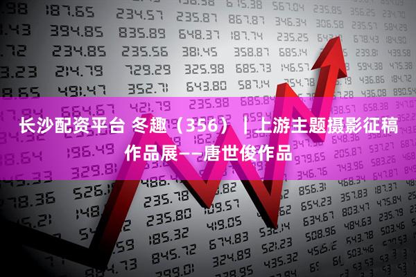 长沙配资平台 冬趣（356）｜上游主题摄影征稿作品展——唐世俊作品